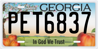 GA license plate PET6837