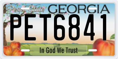 GA license plate PET6841