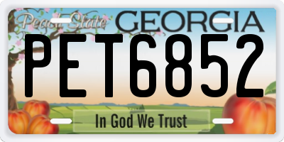 GA license plate PET6852
