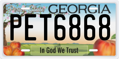 GA license plate PET6868