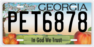 GA license plate PET6878