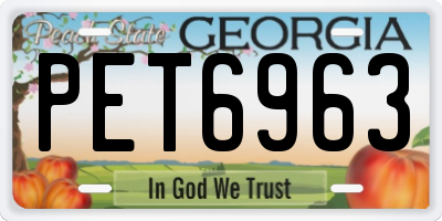 GA license plate PET6963