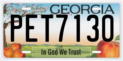GA license plate PET7130
