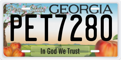 GA license plate PET7280