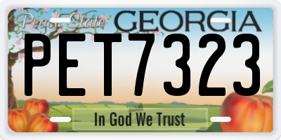 GA license plate PET7323