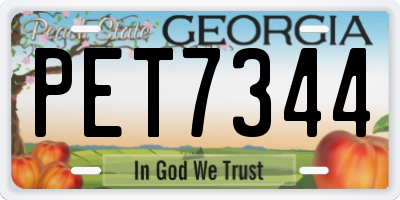 GA license plate PET7344