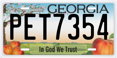 GA license plate PET7354