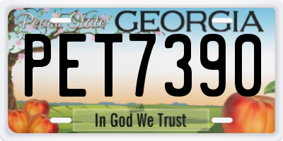 GA license plate PET7390