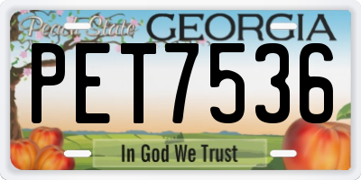 GA license plate PET7536