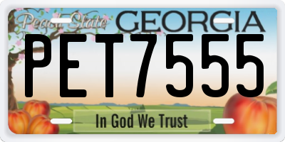 GA license plate PET7555