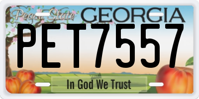 GA license plate PET7557