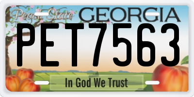 GA license plate PET7563