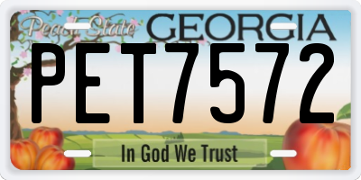 GA license plate PET7572
