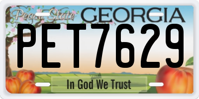 GA license plate PET7629