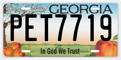 GA license plate PET7719
