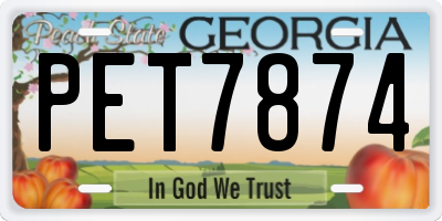GA license plate PET7874