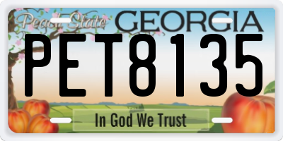 GA license plate PET8135