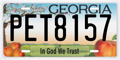 GA license plate PET8157