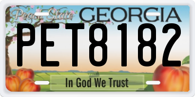 GA license plate PET8182
