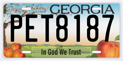 GA license plate PET8187