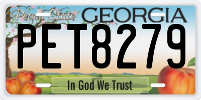 GA license plate PET8279