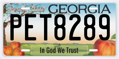 GA license plate PET8289