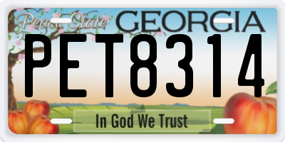 GA license plate PET8314
