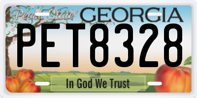 GA license plate PET8328