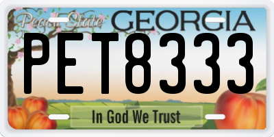 GA license plate PET8333