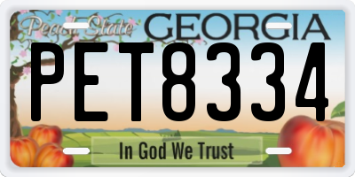 GA license plate PET8334