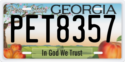 GA license plate PET8357