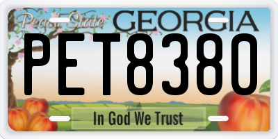 GA license plate PET8380