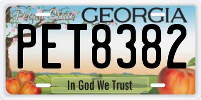 GA license plate PET8382