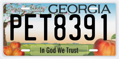 GA license plate PET8391