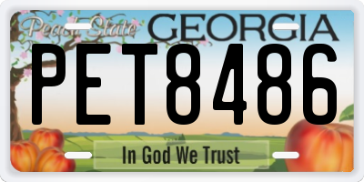 GA license plate PET8486