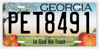 GA license plate PET8491