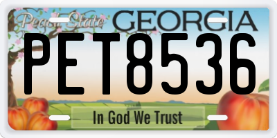 GA license plate PET8536