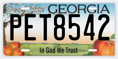 GA license plate PET8542