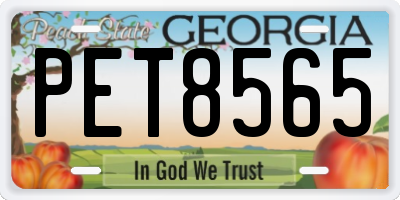 GA license plate PET8565