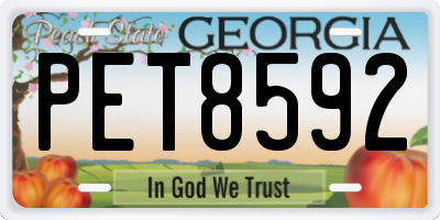 GA license plate PET8592