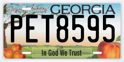 GA license plate PET8595