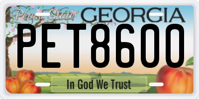 GA license plate PET8600