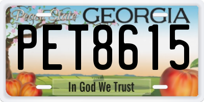 GA license plate PET8615