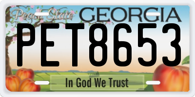 GA license plate PET8653