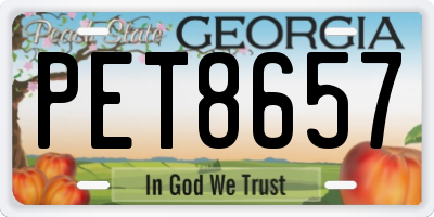 GA license plate PET8657