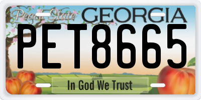 GA license plate PET8665