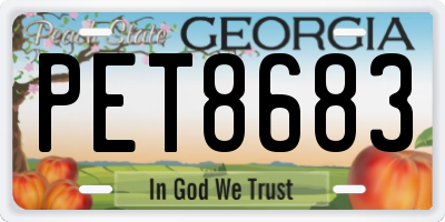 GA license plate PET8683