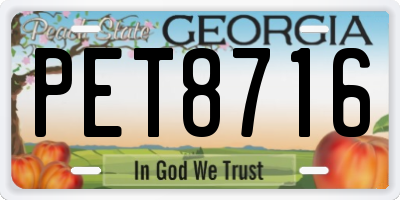 GA license plate PET8716