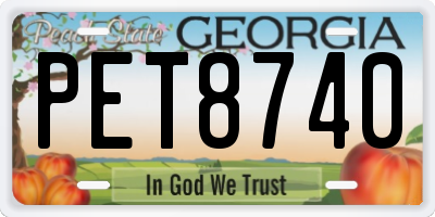 GA license plate PET8740