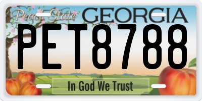 GA license plate PET8788